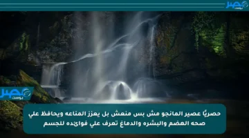 حصريًا عصير المانجو مش بس منعش بل يعزز المناعة ويحافظ على صحة الهضم والبشرة والدماغ تعرف على فوائده للجسم